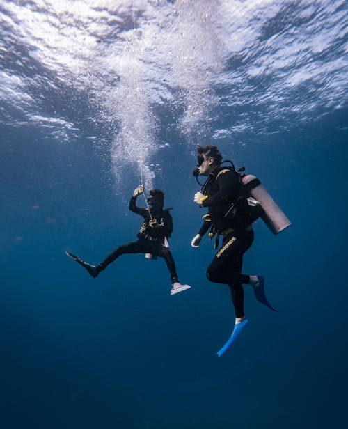 free-photo-of-scuba-divers-with-equipment-underwater free-photo-of-scuba-divers-with-equipment-underwater